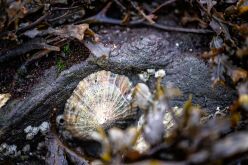 20241009_WoMoTrip_Bretagne_020_v1