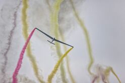 20240906_airpower_2024_1564_v1 Airpower 2024