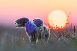 20220324_garchinger_heide_400_1_2_3_4_Fotografisch_v2